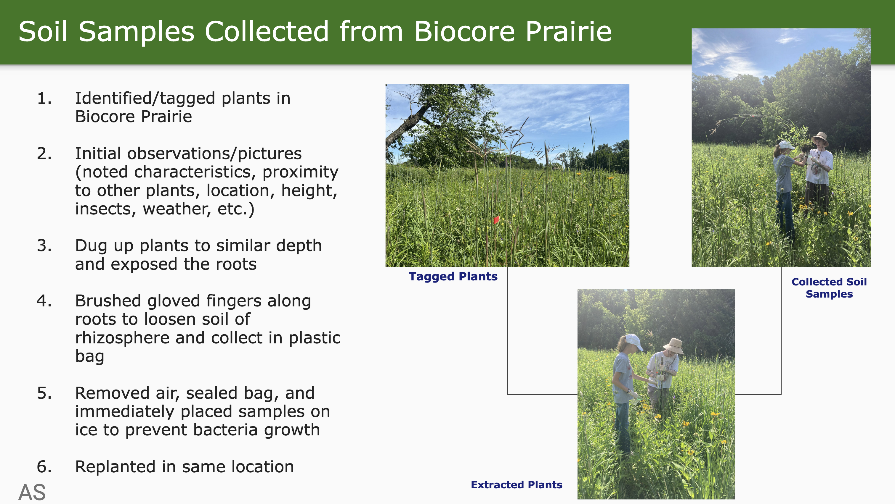 Slide 12